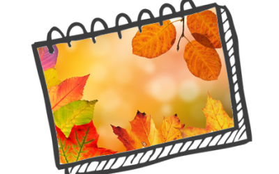 Formations Automne 2023